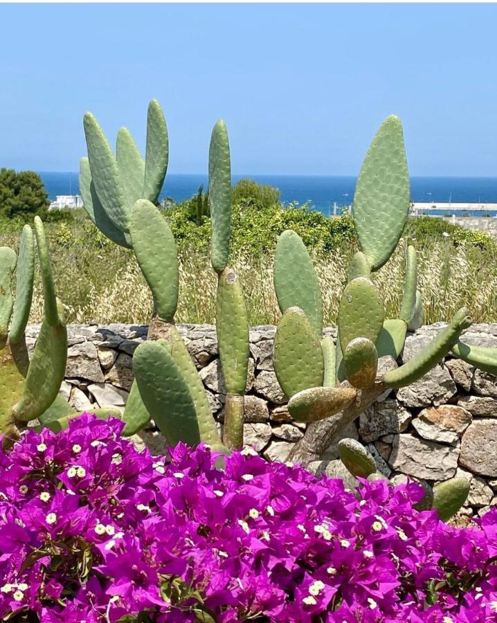 Corallo Daire Otranto Dış mekan fotoğraf