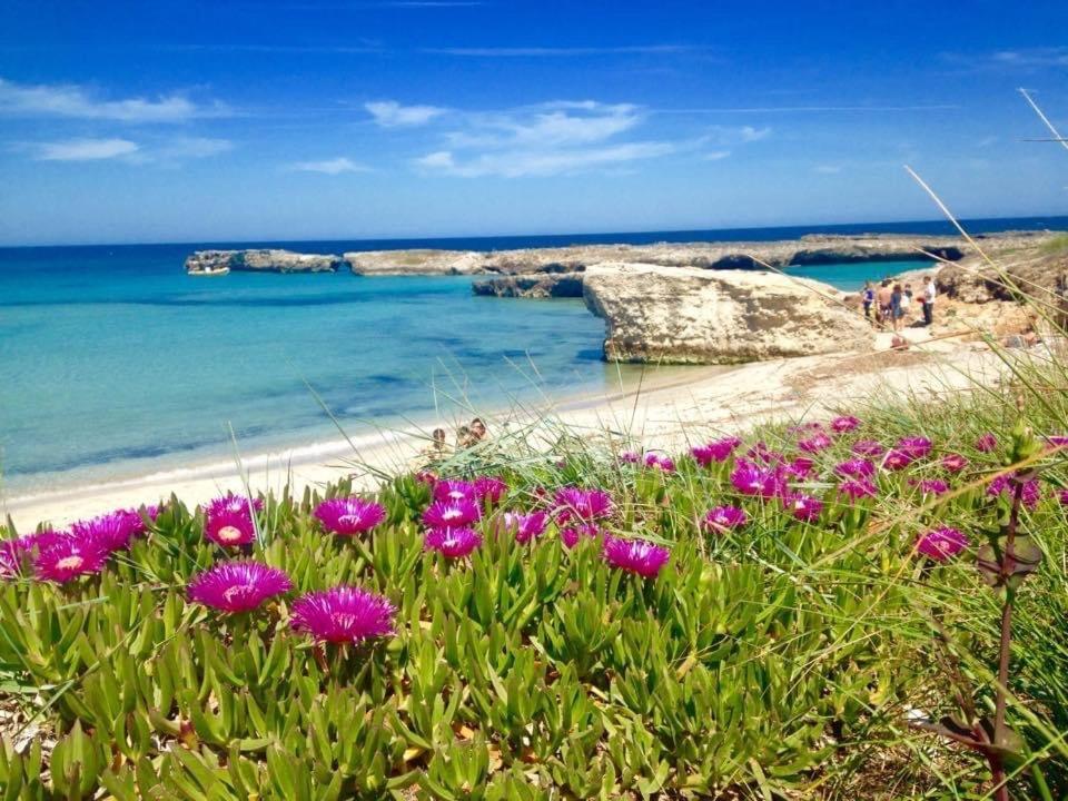 Corallo Daire Otranto Dış mekan fotoğraf